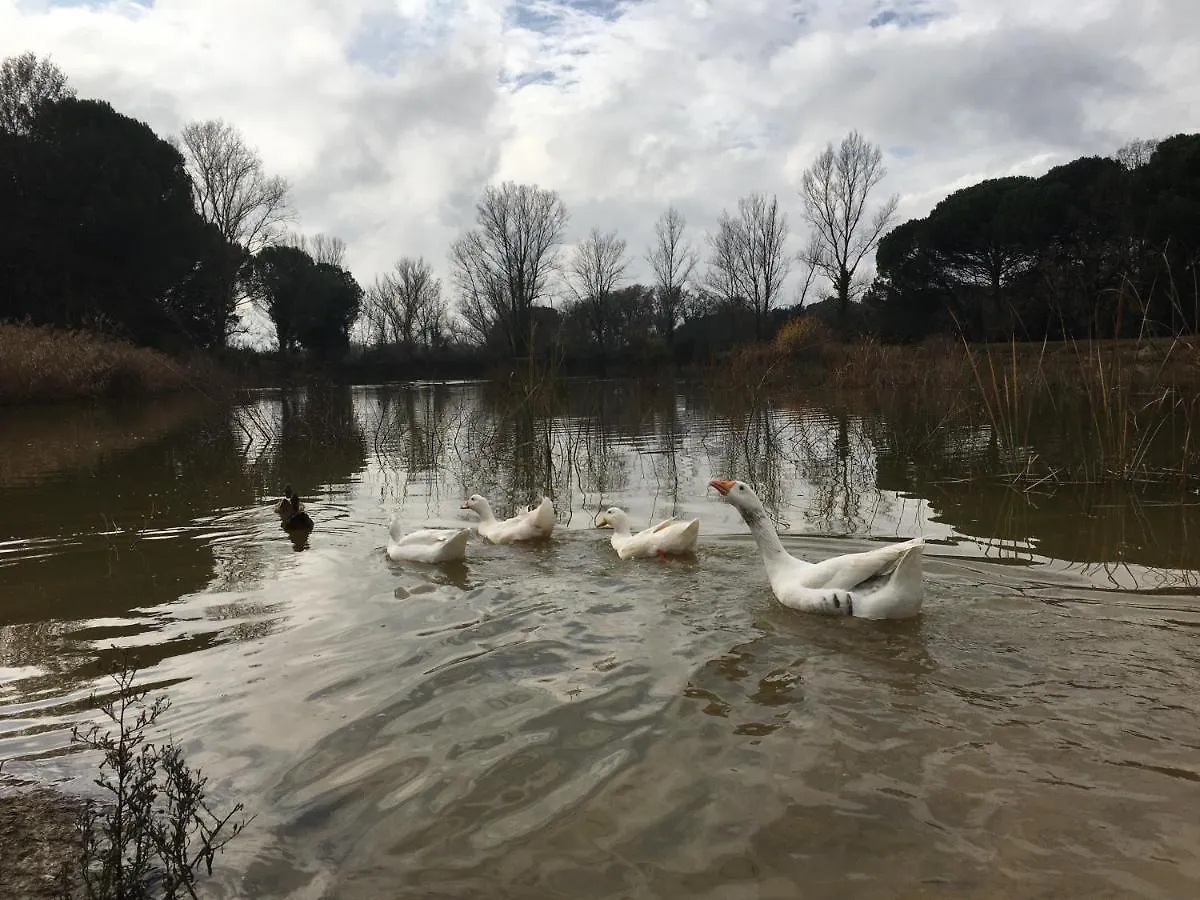 Mas Teixidor, Masia Entre Girona Y La Costa Brava Caldes de Malavella
