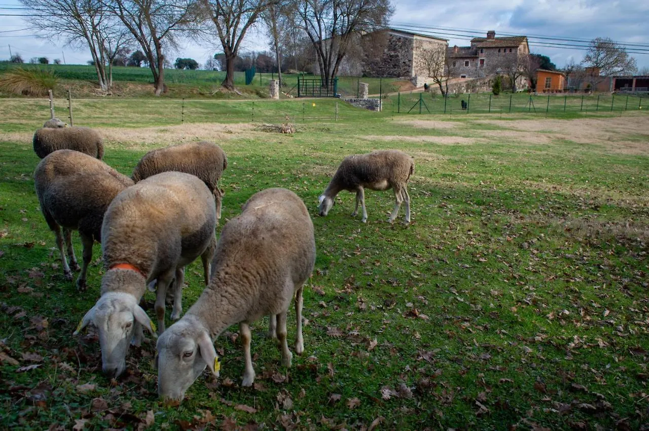 Homestay Mas Teixidor, Masia Entre Girona Y La Costa Brava Caldes de Malavella Spain