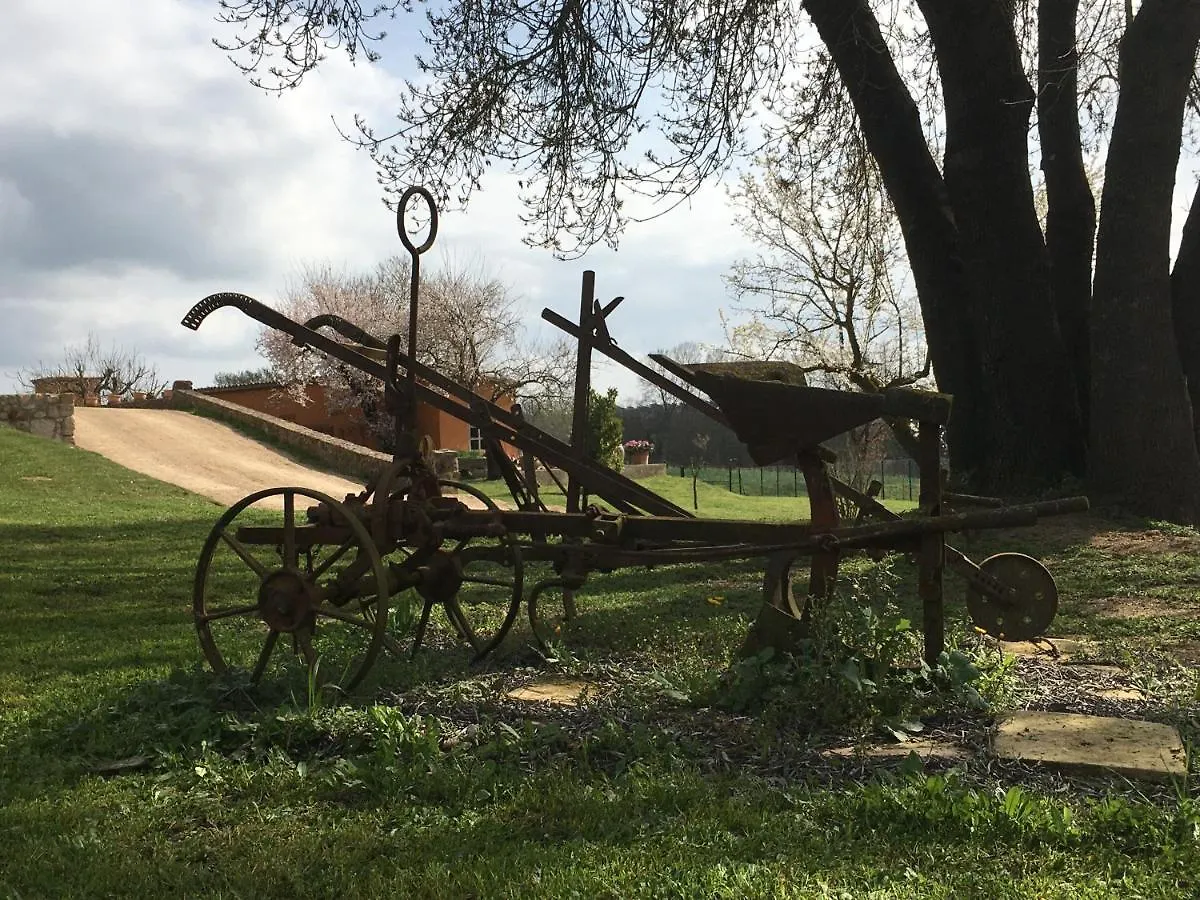 Mas Teixidor, Masia Entre Girona Y La Costa Brava Caldes de Malavella Pansiyon